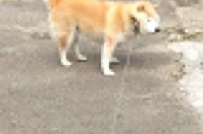 开云体育官网在线-中甲球队主场迁移引发球迷讨论，中甲场地