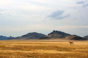 开云体育入口-比赛中快速回防展现战术训练成果有效阻断对方进攻线路