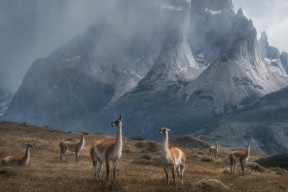 开云体育官网登入-马拉维男篮在非洲锦标赛中夺冠，创出体育发展新高峰，马拉维是非洲的一个国家吗