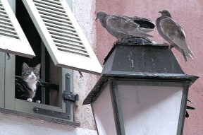 开云体育下载-中国女篮参与国际慈善赛展现体育大国形象，中国女篮参加wnba