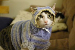 开云体育在线-中国男篮战术执行精准，中国男篮最新的道具