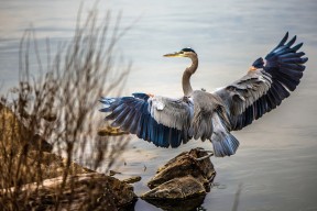 开云体育官网上-德国队2024年表现：技术与团队默契完美结合，德国队2022