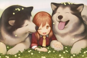 开云体育登录入口-“南非羚羊队的秘密武器：诺克·达维德·彼得森的爆发”