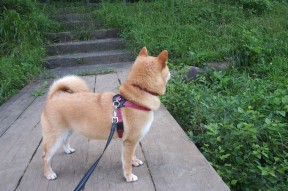 开云体育在线入口-体育新闻中心发布体育类内容版权合规指南，体育新闻包括哪些内容