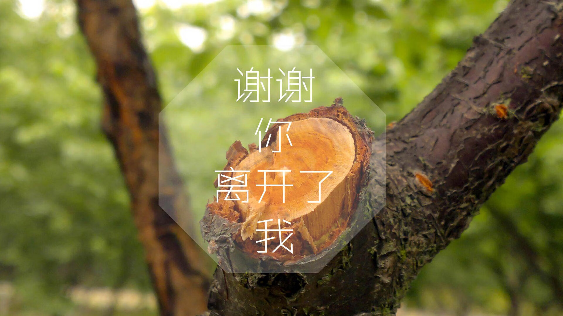 “武汉马拉松：挑战极限，谁能破纪录？”