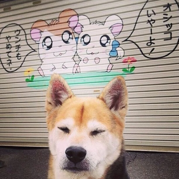 奥预赛中国女足夺冠 悬念之战扣人心弦，中国女足2020奥运会预选赛视频